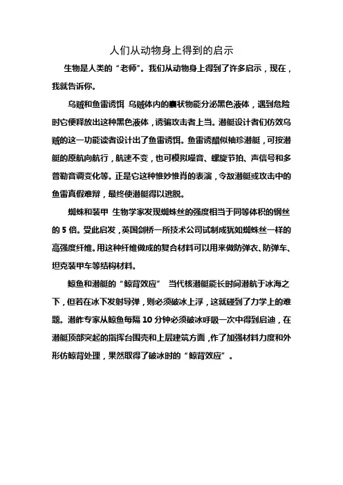从动物身上得到启示