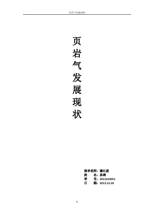 页岩气国内外发展现状