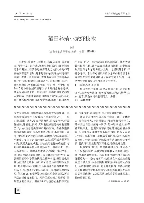 稻田养殖小龙虾技术