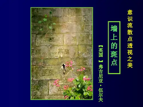 人教版选修《外国小说欣赏》第一单元《墙上的斑点》教学配套课件(24张PPT)