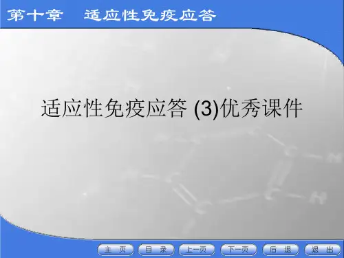 适应性免疫应答 (3)优秀课件