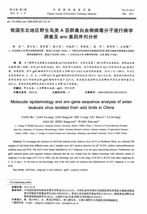 我国东北地区野生鸟类A亚群禽白血病病毒分子流行病学调查及env基因序列分析