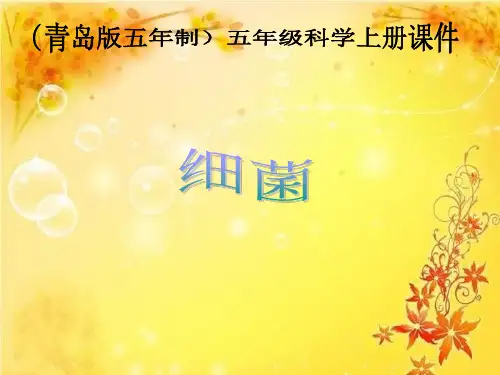 2《细菌》件(1)(全站免费)