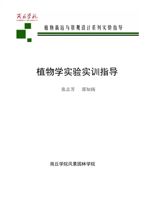 试验十裸子植物门
