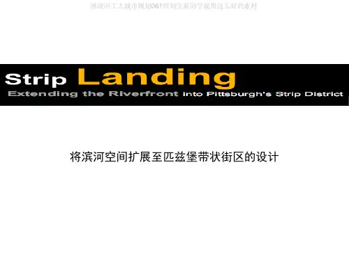 匹兹堡带状滨水空间城市设计分析