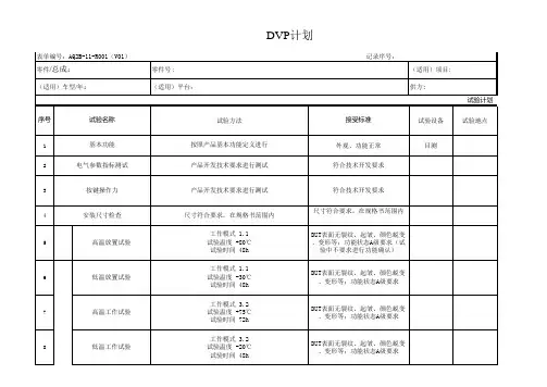 DVP计划_汽车电子企业模板文件