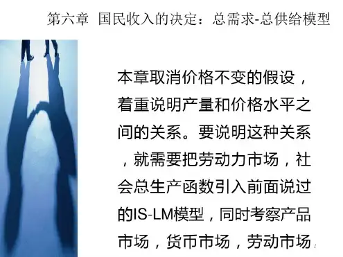 宏观第六章--总需求--总供给模型