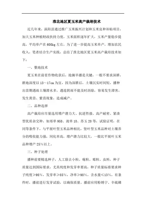 淮北地区夏玉米高产栽培技术