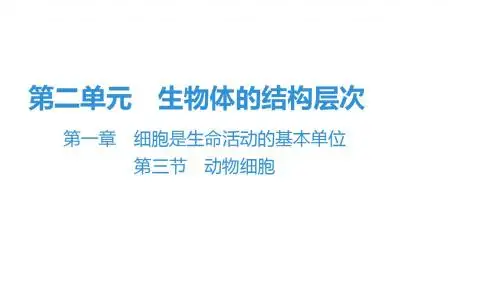 2019秋人教版七年级生物上册复习课件：第2单元 第1章 第3节 动物细胞(共47张PPT)