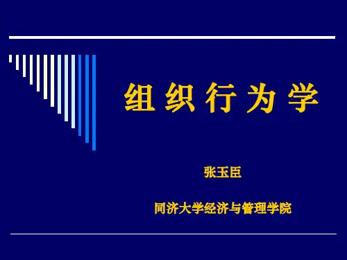 第六讲:组织文化与变革