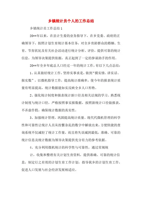 2019年乡镇统计员个人的工作总结