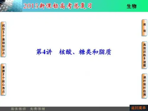 必修1第1单元第4讲