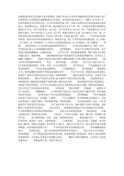 分娩期产妇标准护理计划