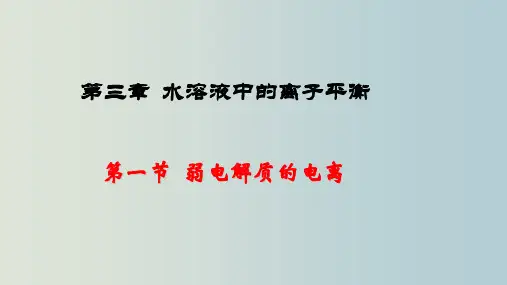 弱电解质的电离 水溶液中的离子平衡 教学PPT课件