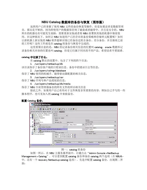 NBU Catalog数据库的备份与恢复