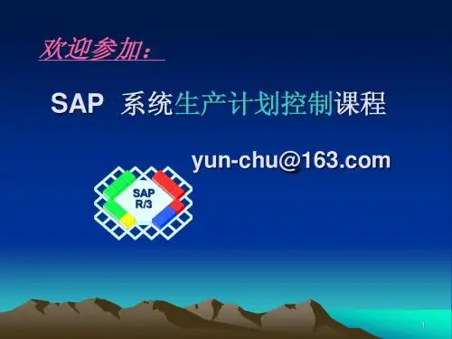 sap-pp经典