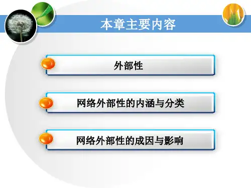第二章网络外部性