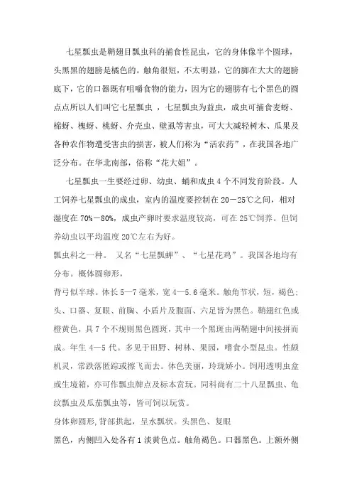 七星瓢虫