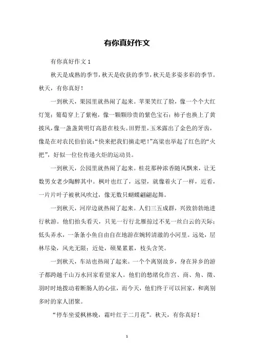 有你真好作文