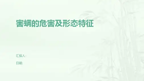害螨的危害及形态特征