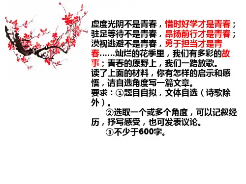 关于青春的写作
