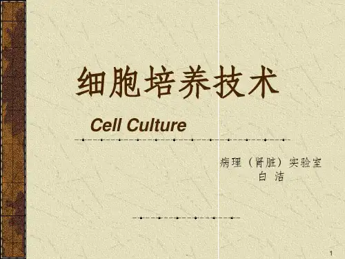 细胞培养技术++培训完整版