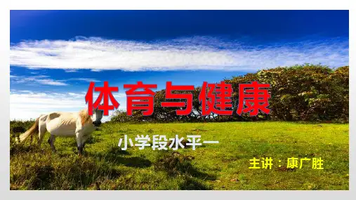 体育与健康PPT