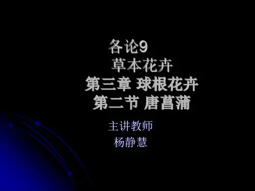 花卉学 各论9唐菖蒲