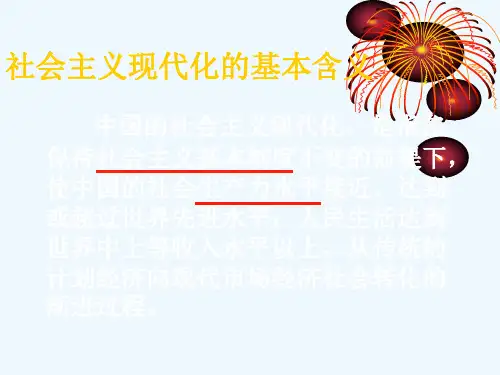 社会主义现代化