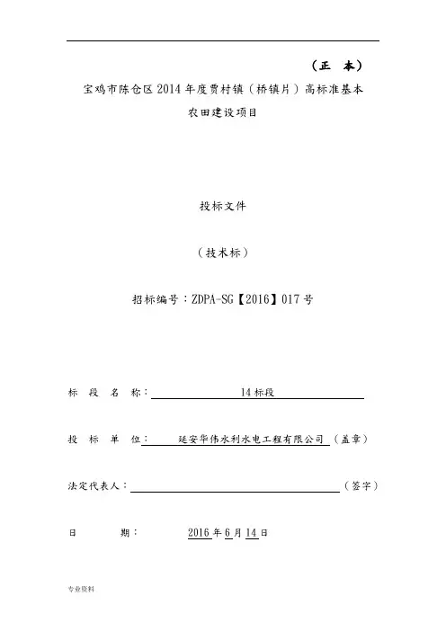 高标准农田建设项目施工与方案