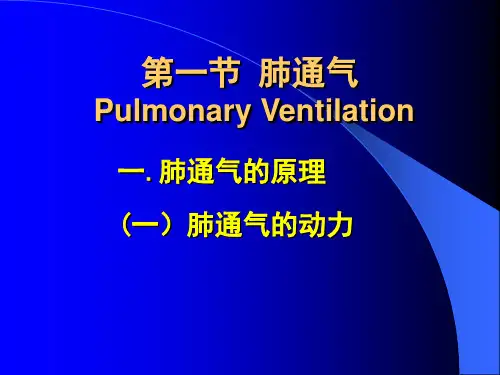 生理学--肺通气 PPT课件