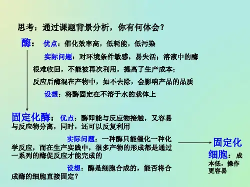 酵母细胞的固定化