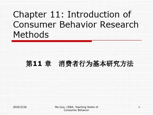 消费者行为学第十一章