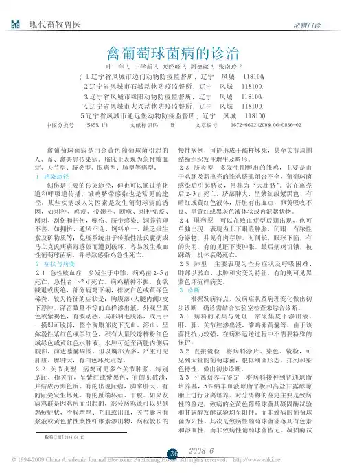 禽葡萄球菌病的诊治