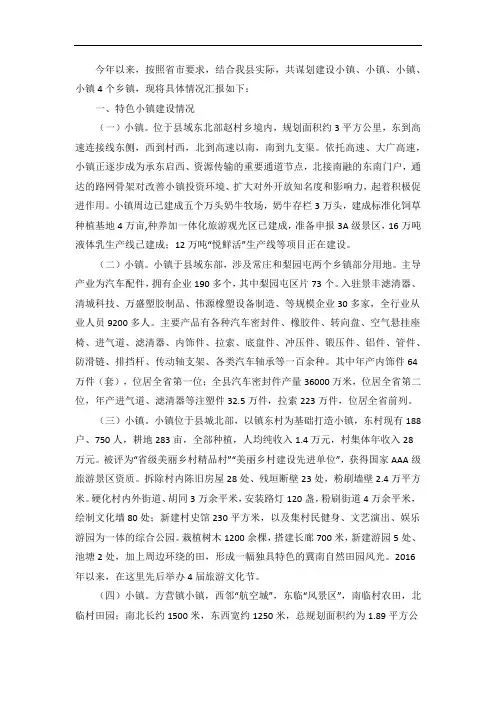 特色小镇建设专题报告