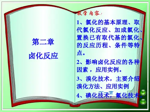 第二章 卤化技术