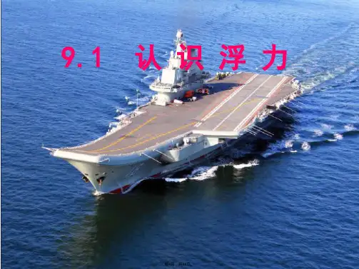 (新沪粤版)9.1认识浮力
