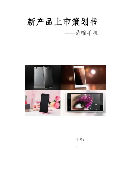 新产品上市项目策划书