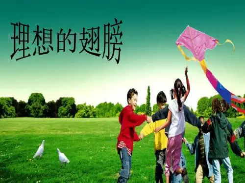 《理想的翅膀》第二课时课件