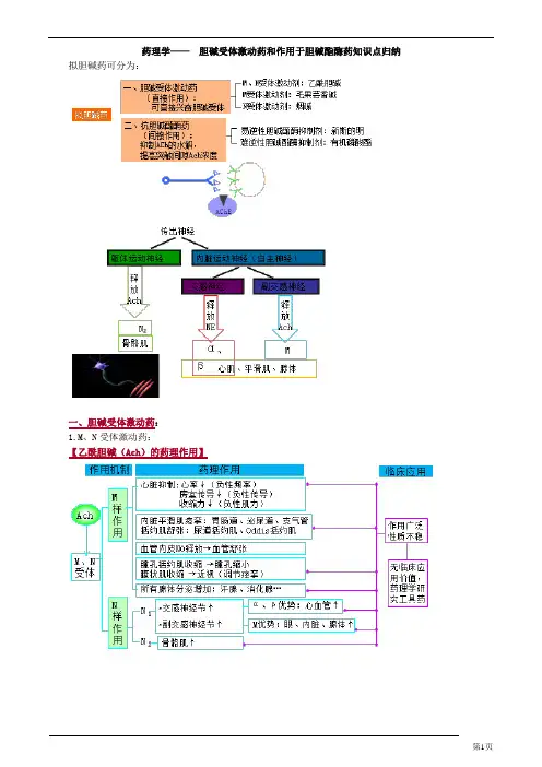 药理学—— 胆碱受体激动药和作用于胆碱酯酶药知识点归纳