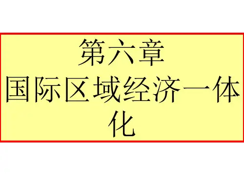 国际经济区域经济一体化