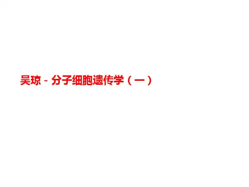 吴琼-分子讲义细胞遗传学(一)
