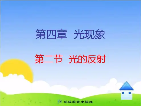 光的反射解析