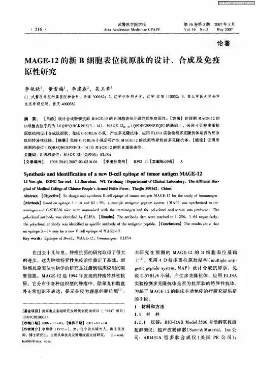 MAGE-12的新B细胞表位抗原肽的设计、合成及免疫原性研究