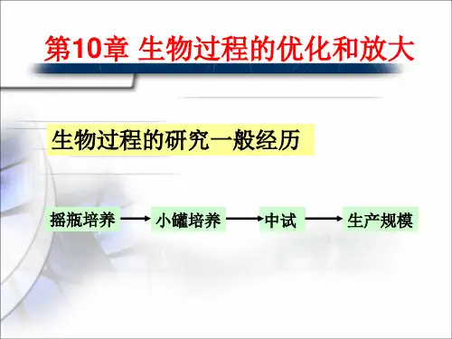 第10章 发酵过程的优化和放大