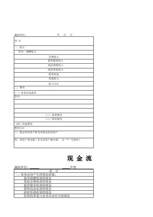 民间非盈利组织会计报表(全套3张)
