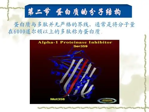 第二章 蛋白质化学2