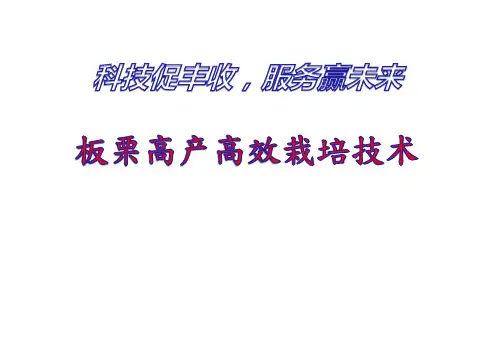 板栗栽培技术