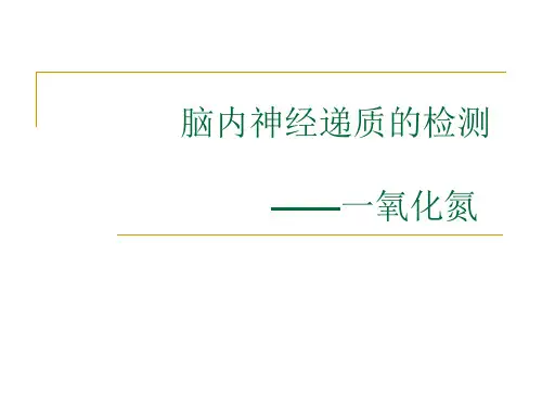 一氧化氮的检测