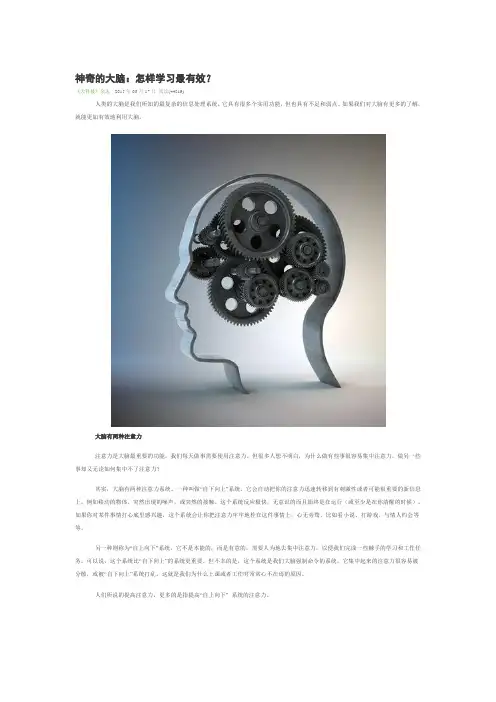 神奇的大脑怎样学习最有效